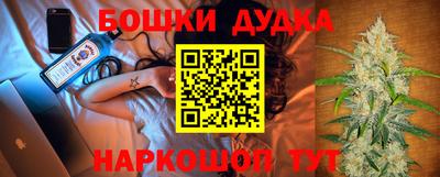 шишки Славгород