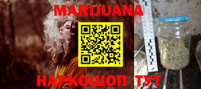 шишки Славгород