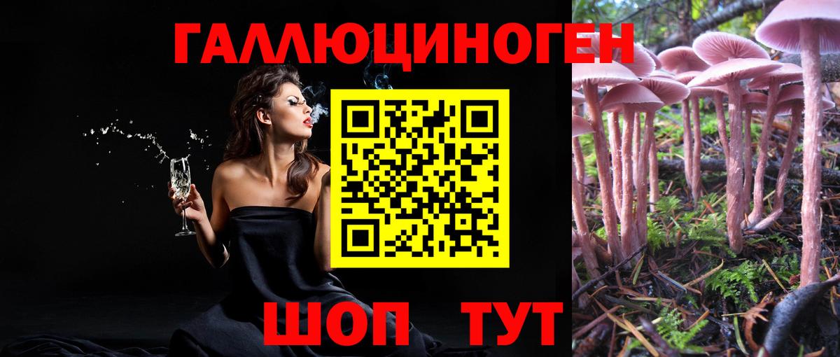 Новошахтинск  где купить наркотик  Вход с VPN  Галлюциногенные грибы прущие грибы 